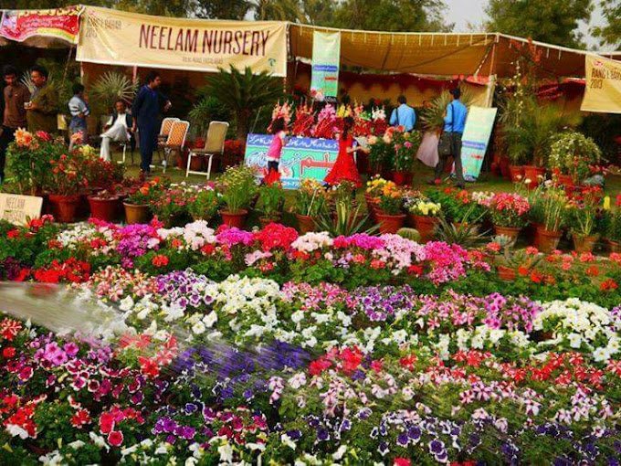 4 Best Nursery In Faisalabad