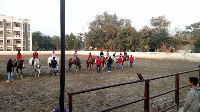 5 Best Horse Riding Clubs In Lahore