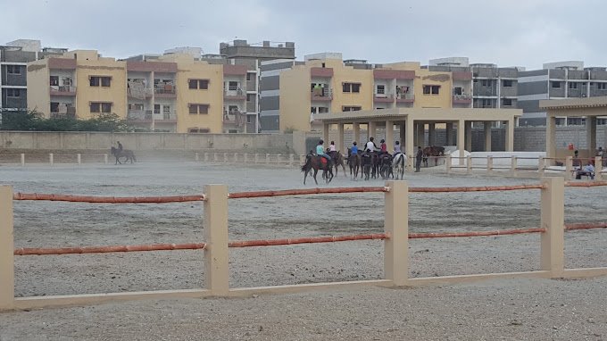 4 Best Horse Riding Clubs In Karachi