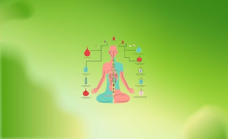 5 Best Hijama Center in Islamabad