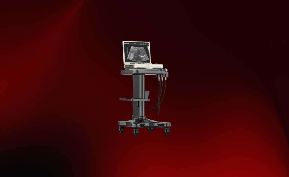 5 Best Ultrasound Clinics in Faisalabad