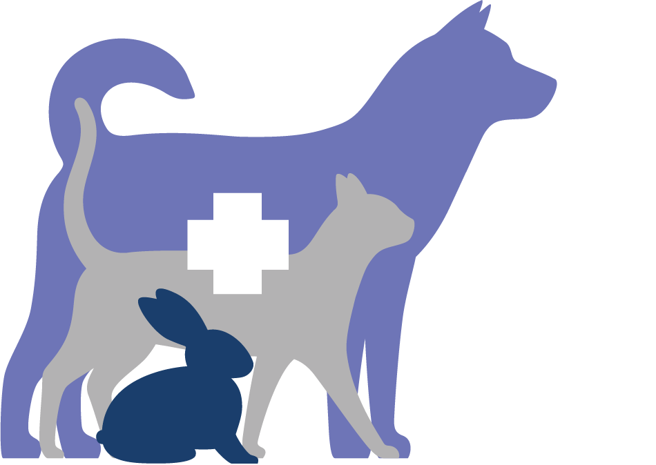 5 Best Pet Hospital in Islamabad