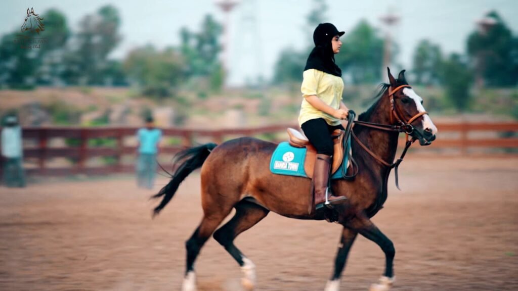 5 Best Horse Riding Club in Islamabad